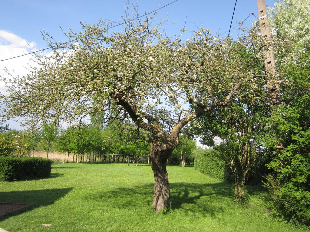 Gite Marais Atypique Villa Clairmarais Luaran gambar